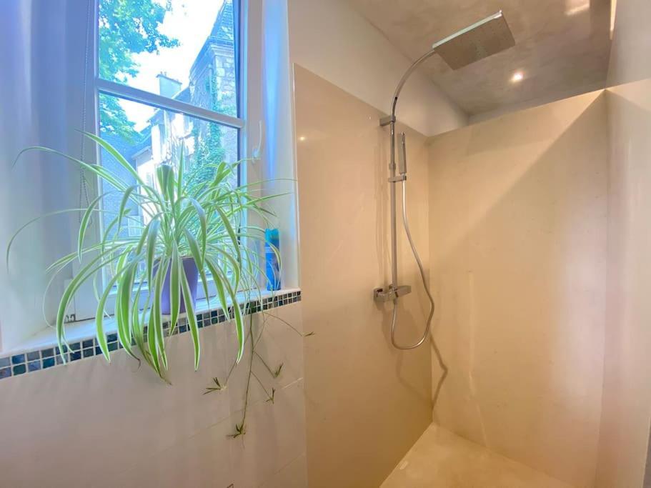 Charmant Appartement - Centre Cite Plantagenet!!! Λε Μανς Εξωτερικό φωτογραφία